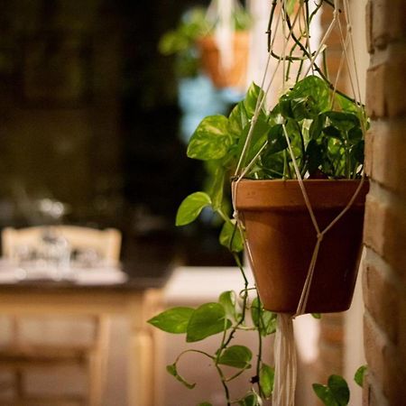 فيلا Agricola Casa Cucina Bottega تشيزينا المظهر الخارجي الصورة