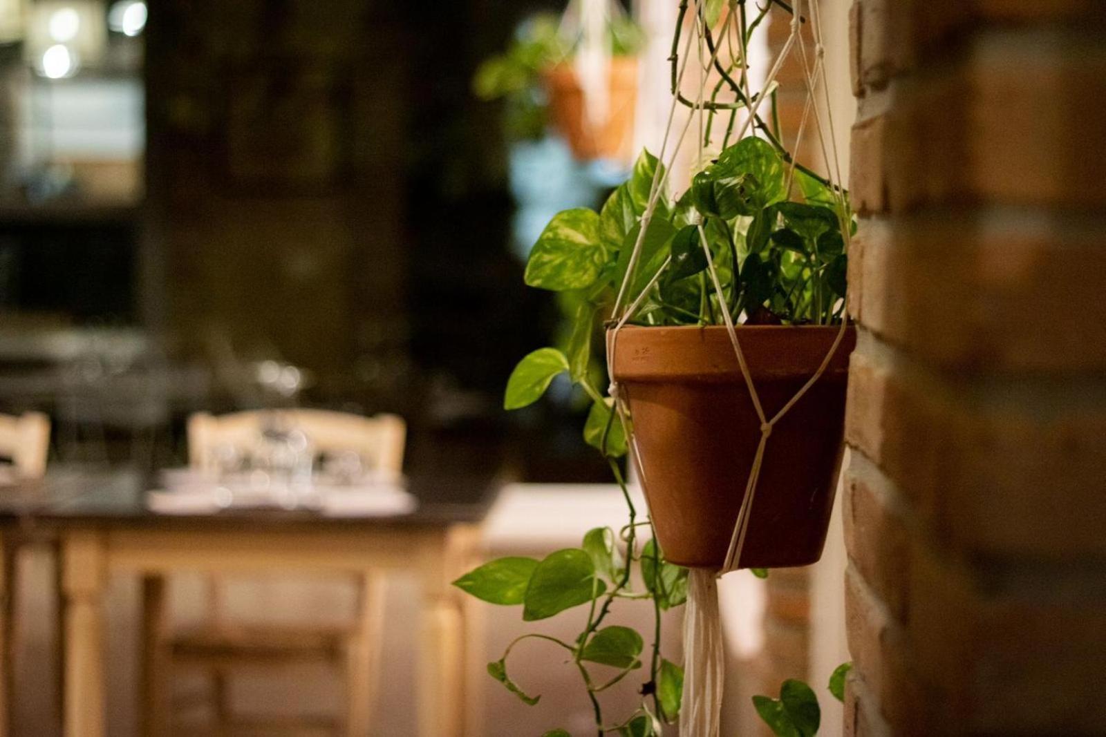 فيلا Agricola Casa Cucina Bottega تشيزينا المظهر الخارجي الصورة