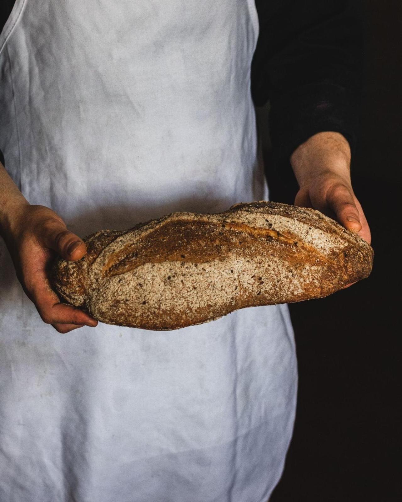 فيلا Agricola Casa Cucina Bottega تشيزينا المظهر الخارجي الصورة
