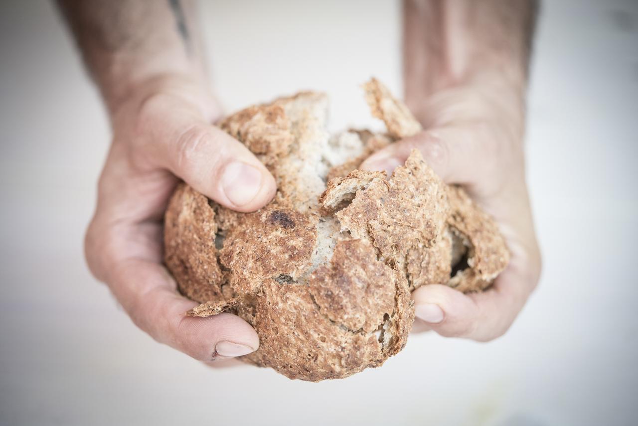 فيلا Agricola Casa Cucina Bottega تشيزينا المظهر الخارجي الصورة